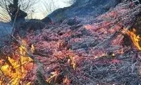 آتش‌سوزی جنگلی در ۱۷ نقطه از استان گیلان