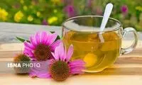 رفع مشکلات ادراری با مصرف این گیاه زمستانی