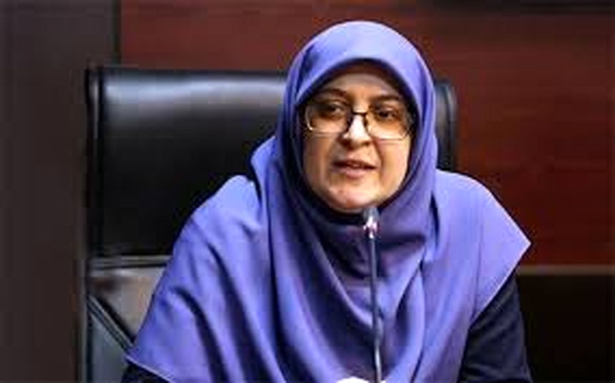 توجیه جنجالی سخنگوی دولت درباره کریدور زنگزور