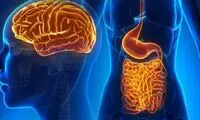 مغز اول انسان در سر است یا روده؟ 
