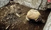 عکس چهره زنی از 4 هزار سال پیش که شبیه ویکتوریا بکام است