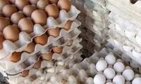 قیمت هر شانه تخم مرغ کاهش یافت