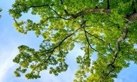 خبر مهم هواشناسی برای تهرانی‌ها