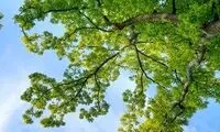 خبر مهم هواشناسی برای تهرانی‌ها