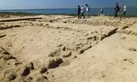کشف قدیمی‌ ترین شهر مروارید در کشور همسایه