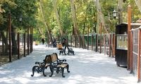 تصویری از پارک شهر تهران در دهه چهل
