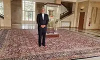 بازگشت فرش ایرانی به کتابخانه سازمان ملل در ژنو