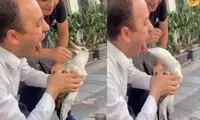  عاقبت زبان‌درازی برای مرغ دریایی!