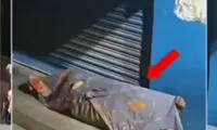 سرقت به با استفاده از لباس افراد کارتن‌خواب!