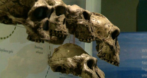 کشف ترسناک دانشمندان درباره اجداد انسان 