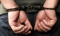  زوج کلاهبردار فروش حواله خودرو نقره‌داغ شدند