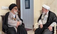 تصاویری از مهمان جدید کروبی بعد از رفع حصر