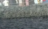 ویدئوی تلخ از اوضاع مردم بلوچ در سرمای زمستان