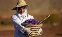 افغانستان در آستانه تصاحب بازار صادراتی مهم ایران