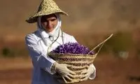 افغانستان در آستانه تصاحب بازار صادراتی مهم ایران