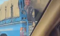 قشنگ‌ترین کلیپ‌ این روزها از شیراز منتشر شد
