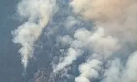 ترکیه و روسیه به درخواست ایران پاسخ مثبت دادند