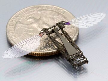 عکسی از ربات پرنده جاسوس به اندازه یک زنبور