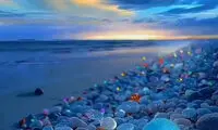 جادوی طبیعت؛ ساحل شیشه‌ای کالیفرنیا