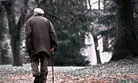 ویدئو بامزه این بابابزرگ قند در دل مردم آب کرد