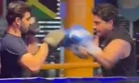 وقتی همایون شجریان، رقیبش را ناک‌اوت کرد!