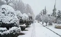 عکسی که فاجعه بزرگ در ایران را نشان‌ می‌دهد