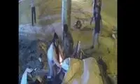 شجاعت مثال‌زدنی دختر بوشهری در صحنه تصادف