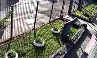 پرواز کردن خودرو سواری در خیابان قبل از وقوع حادثه