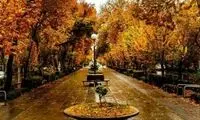 ویدئویی قدیمی و دیده نشده از زیباترین خیابان اصفهان