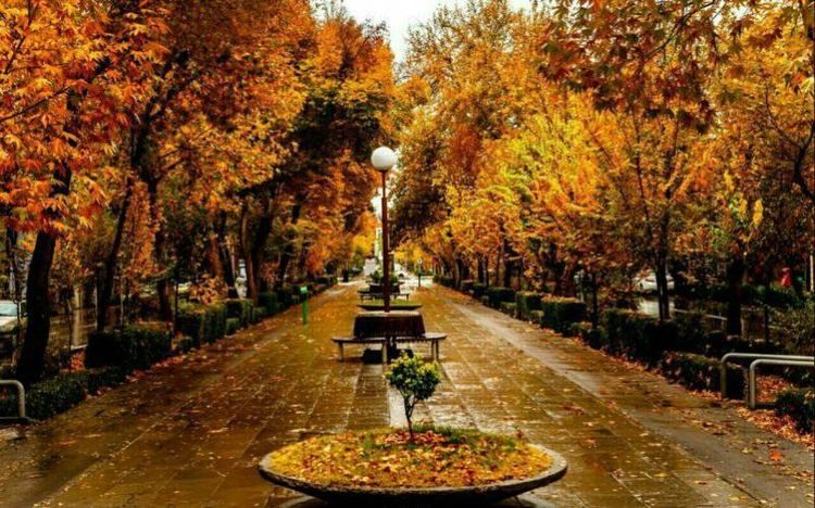 ویدئویی قدیمی و دیده نشده از زیباترین خیابان اصفهان
