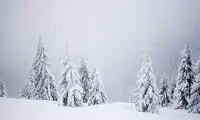  بارش سنگین و زیبای برف در این کشور