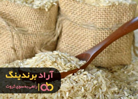 برای کارآفرینی بدون ترس تلاش کنید و ثروتمند شوید