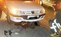 لحظه زیر گرفتن یک زن توسط خودروی ترمز بریده