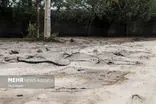 ورود سیلاب به منازل مسکونی در غرب ایران