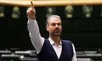 اظهارات یک نماینده درباره دو پلتفرم مشهور ایرانی