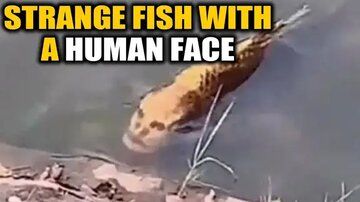 صورت انسان بر بدن ماهی!