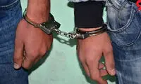 شیر باغ وحش معروف کشور، دزدیده شد 