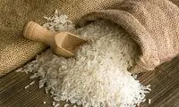 دلالان قیمت برنج ایرانی را ناگهان ۴ برابر کردند
