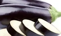  غذایی خوشمزه برای عاشقان بادمجان!