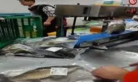 عجیب اما واقعی؛ زنده زنده بسته بندی کردن ماهی!