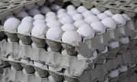 مردم تخم مرغ نمی‌خرند!