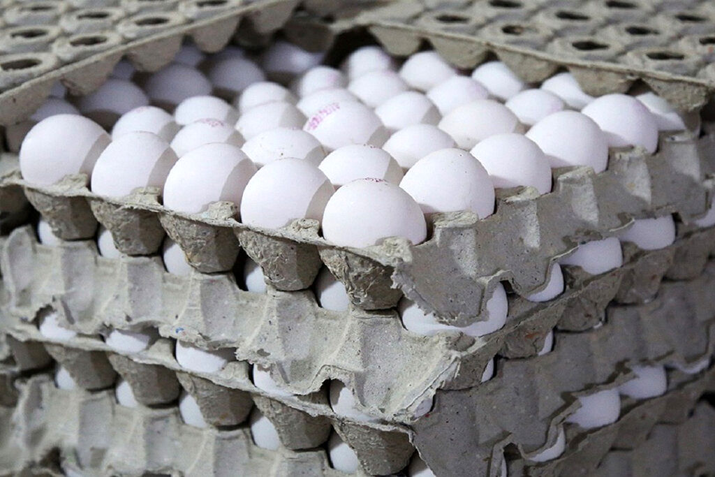مردم تخم مرغ نمی‌خرند!