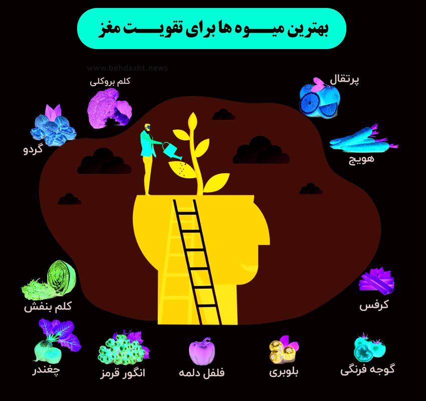 این میوه‌ها برای تقویت مغز مفیدند