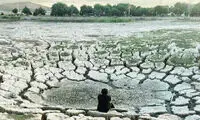 مرگِ نیلوفر کرمانشاه، زیبایی‌ای که خاموش شد