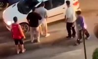 راننده مسلح جاده چالوس دستگیر شد
