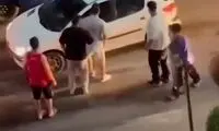راننده مسلح جاده چالوس دستگیر شد