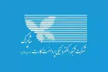 دلیل اختلال شاپرک اعلام شد