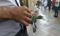 پیشنهاد عجیب یک نماینده: باید خرید و فروش دلار جرم شود!