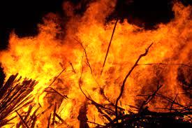 یک خانواده، جنگل شیراز را به آتش کشید!