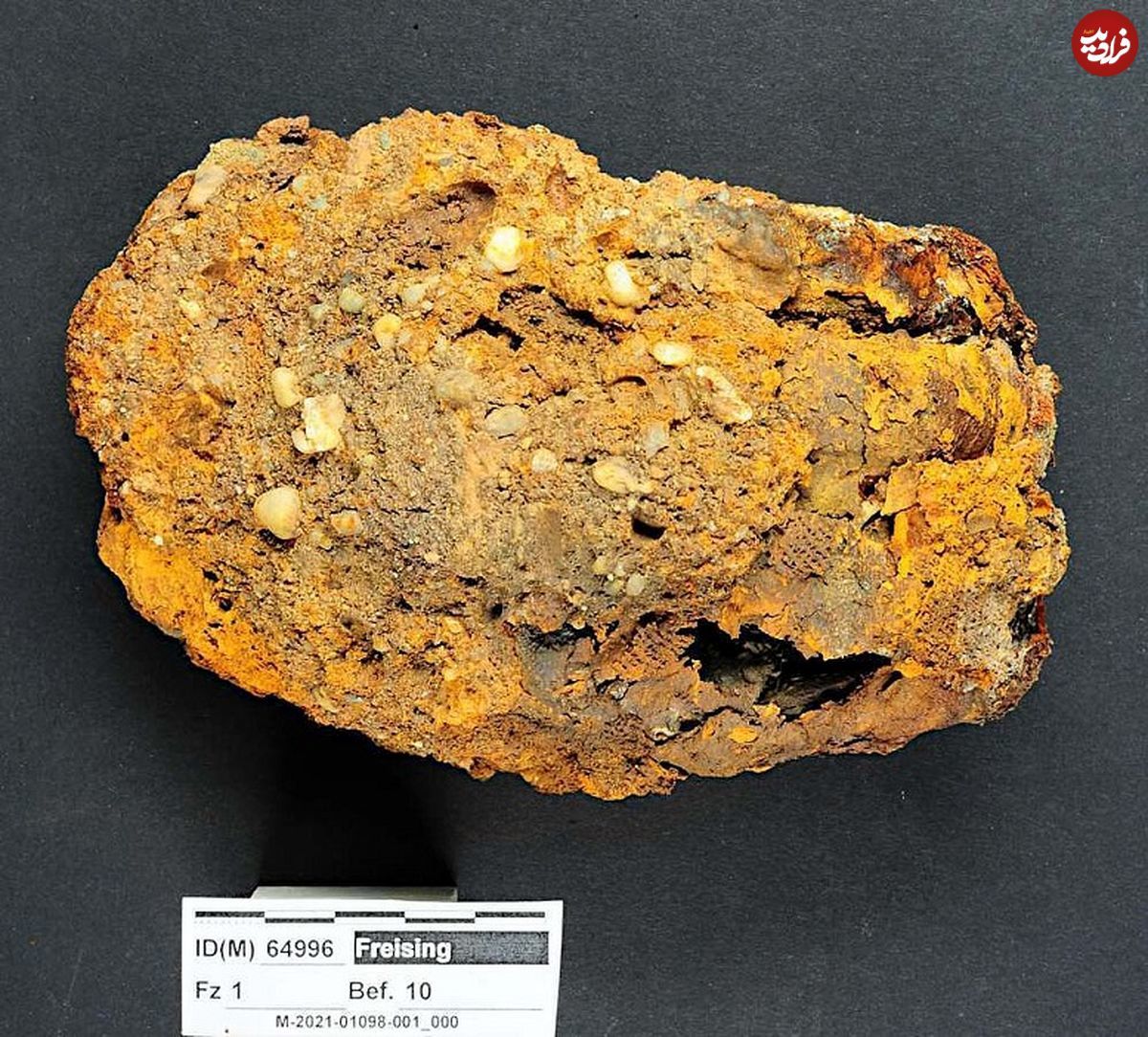 تصاویری از کشف اسکلت 500 ساله با دست آهنی